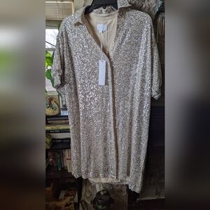 Silver Sequin Short Sleeve Shirt Dress